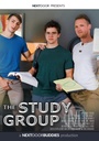 STUDY GROUP