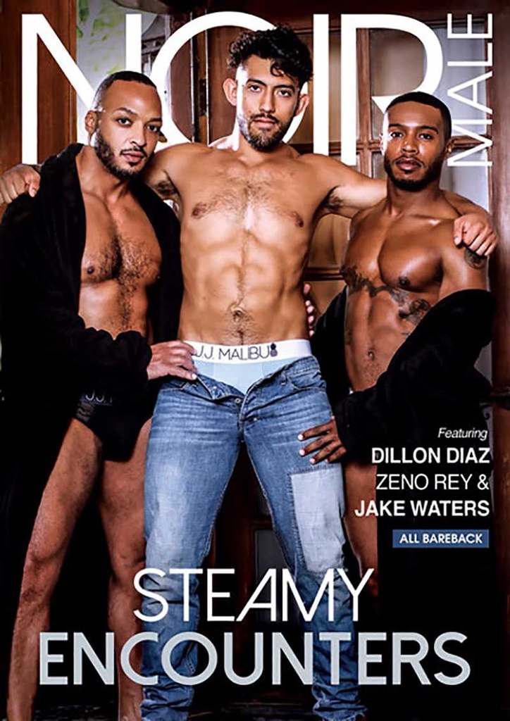 STEAMY ENCOUNTERS