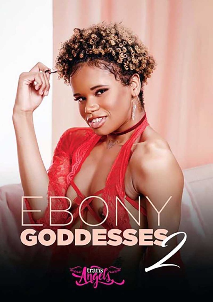 2024/23 TRANS ANGELS 20 PC MIX