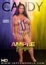 AMPLE FLESH