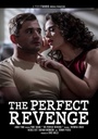 THE PERFECT REVENGE
