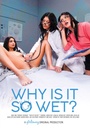 WHY IS IT SO WET?
