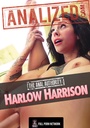 THE ANAL AUTHORITY - HARLOW HARRISON