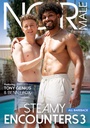 STEAMY ENCOUNTERS 03 
