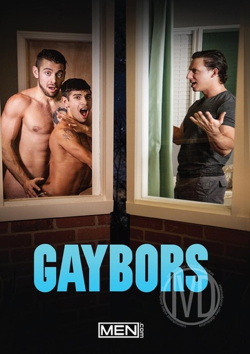 [MDCDVD272G] GAYBROS