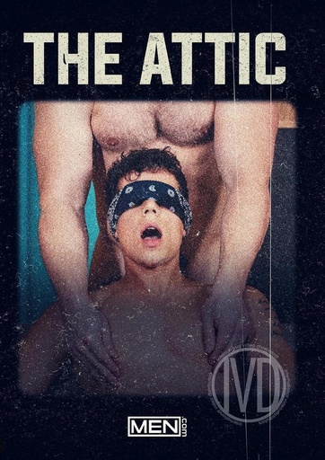[MDCDVD281G] THE ATTIC