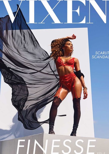 [VDCDVD85] FINESSE 02