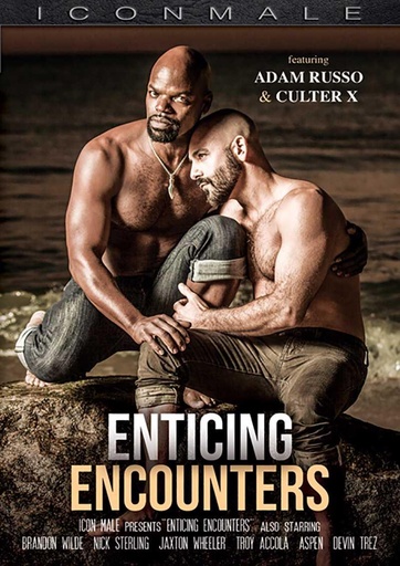 [ICMDVD166G] ENTICING ENCOUNTERS