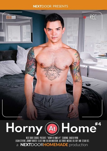 [NDSDVD611G] HORNY AT HOME 04