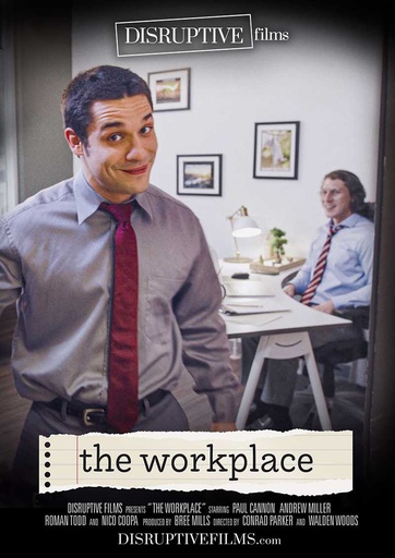 [DSFDVD38G] THE WORKPLACE