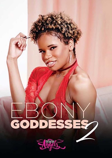 [DVDTRA4MIX] 2024/23 TRANS ANGELS 20 PC MIX