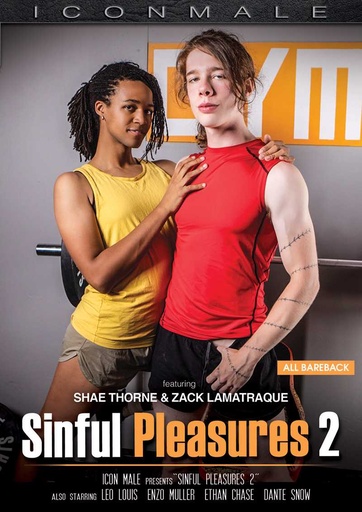 [ICMDVD190G] SINFUL PLEASURES 02