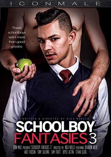 [ICMDVDC19G] SCHOOLBOY FANTASIES 3