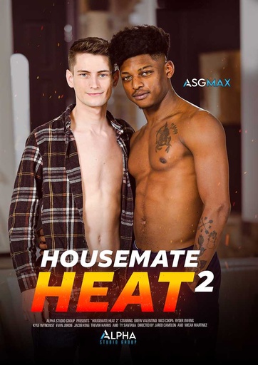 [DVDASGM016G] HOUSEMATE HEAT 02