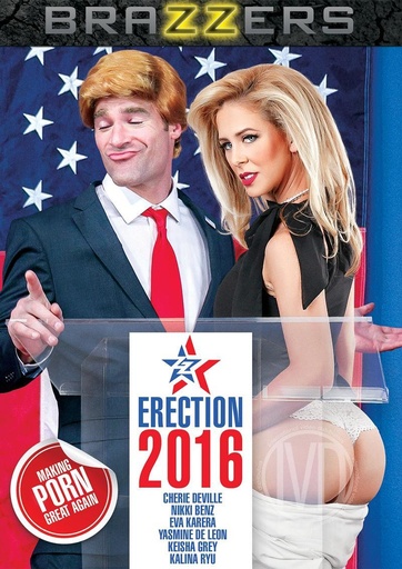 [BRZDVD412] ZZ ERECTION 2016