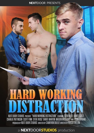 [NDSDVD460G] HARD WORKING DISTRACTION