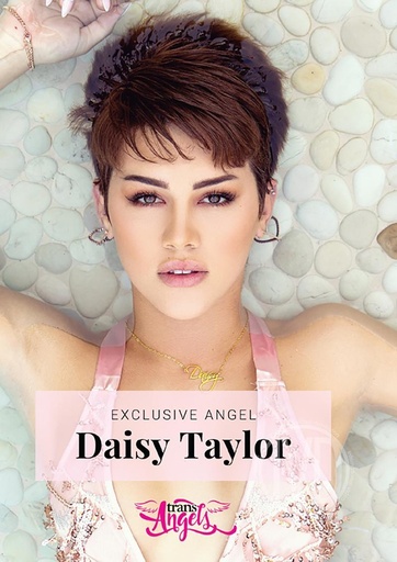 [TRADVD27T] EXCLUSIVE ANGEL DAISY TAYLOR